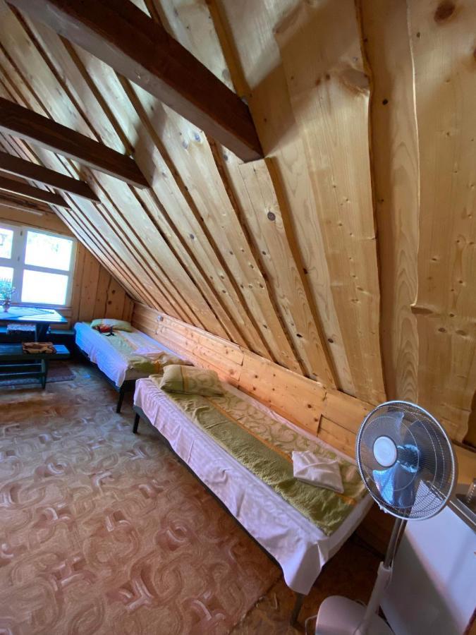 Pension Csomad Baile Tusnad Bagian luar foto